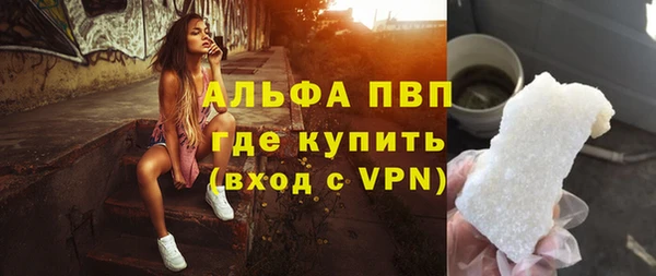 прущие грибы Верхнеуральск
