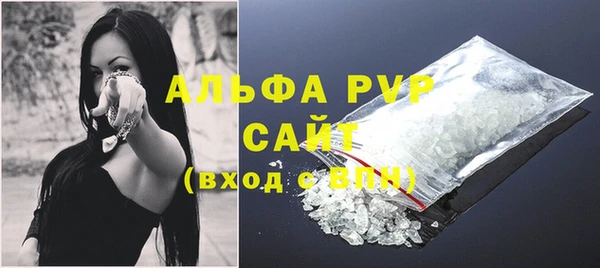 PSILOCYBIN Бородино