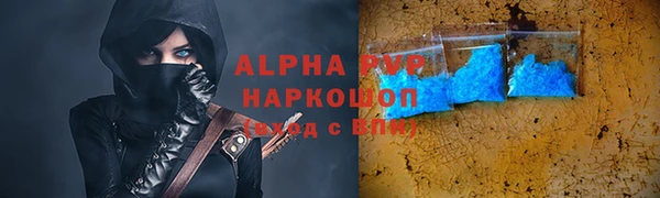 PSILOCYBIN Бородино