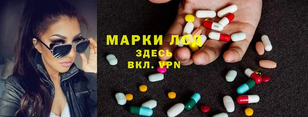 PSILOCYBIN Бородино