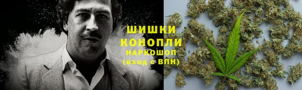 сатива Бронницы